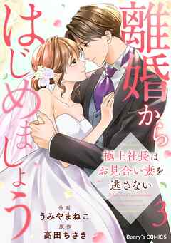 [うみやまねこ×高田ちさき] 離婚からはじめましょうー極上社長はお見合い妻を逃さないー 第01-03巻